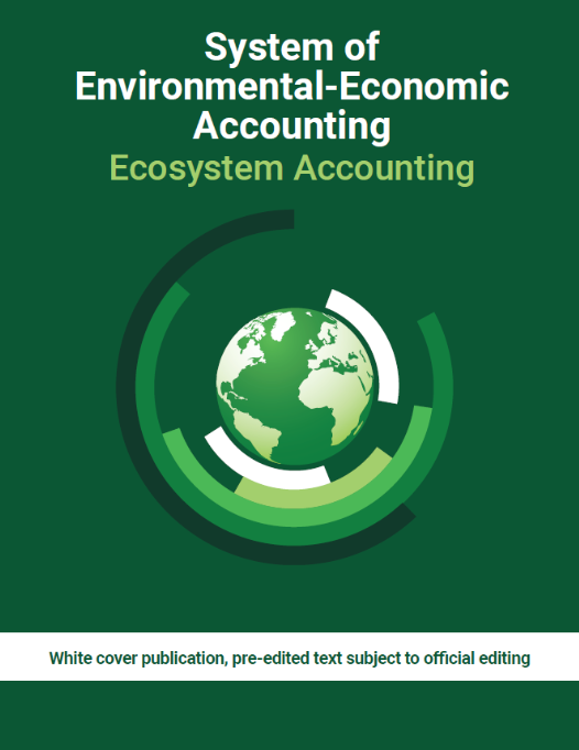 seea natural captial accounting cover book