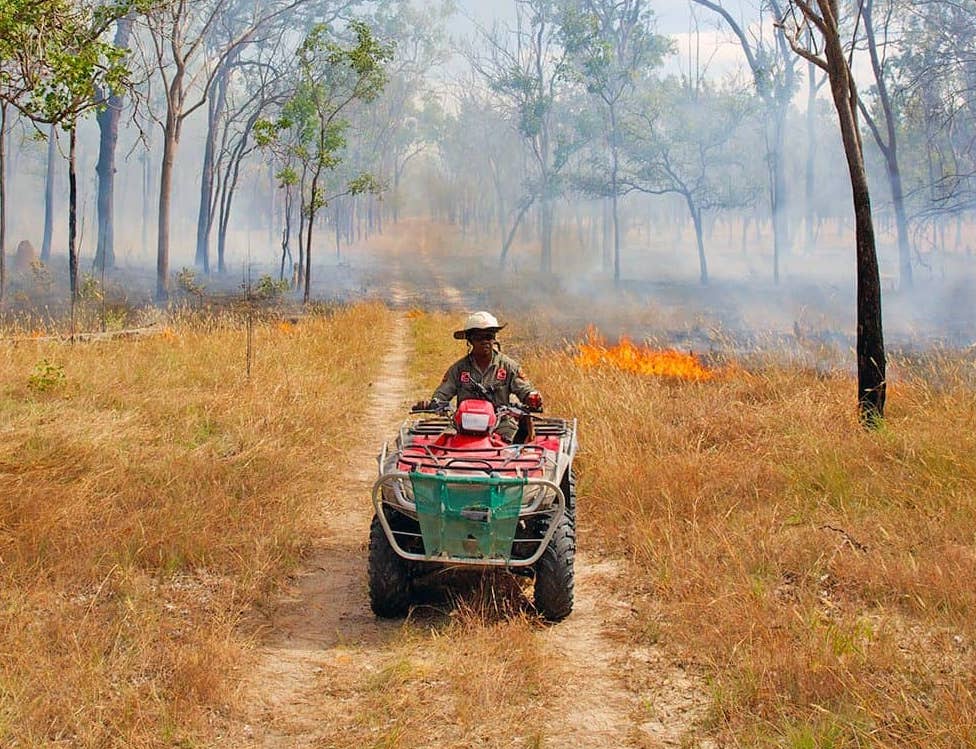 aboriginal carbon foundation