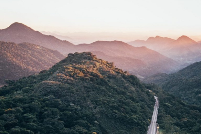 naturaleza y biodiversidad con una carretera en el medio