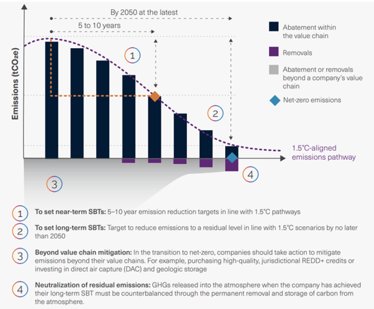 pasos de la guía net zero de sbti para las empresas