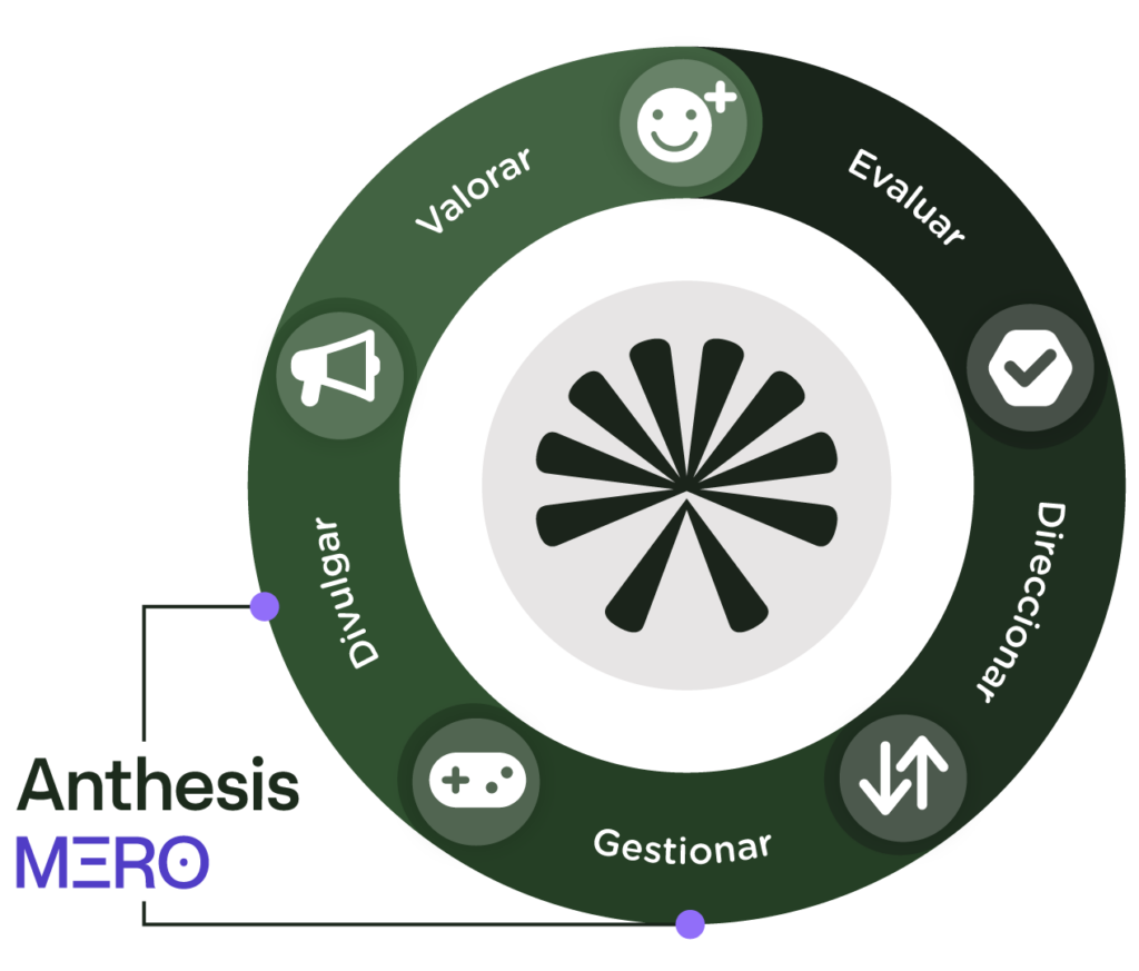 ciclo de la sostenibilidad