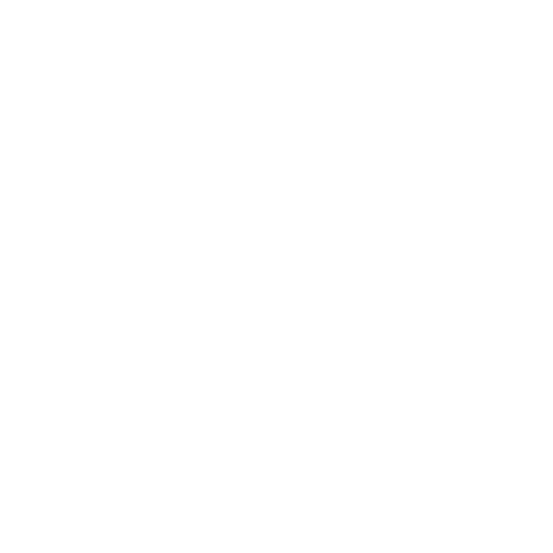 logo icontec 500x500px 2