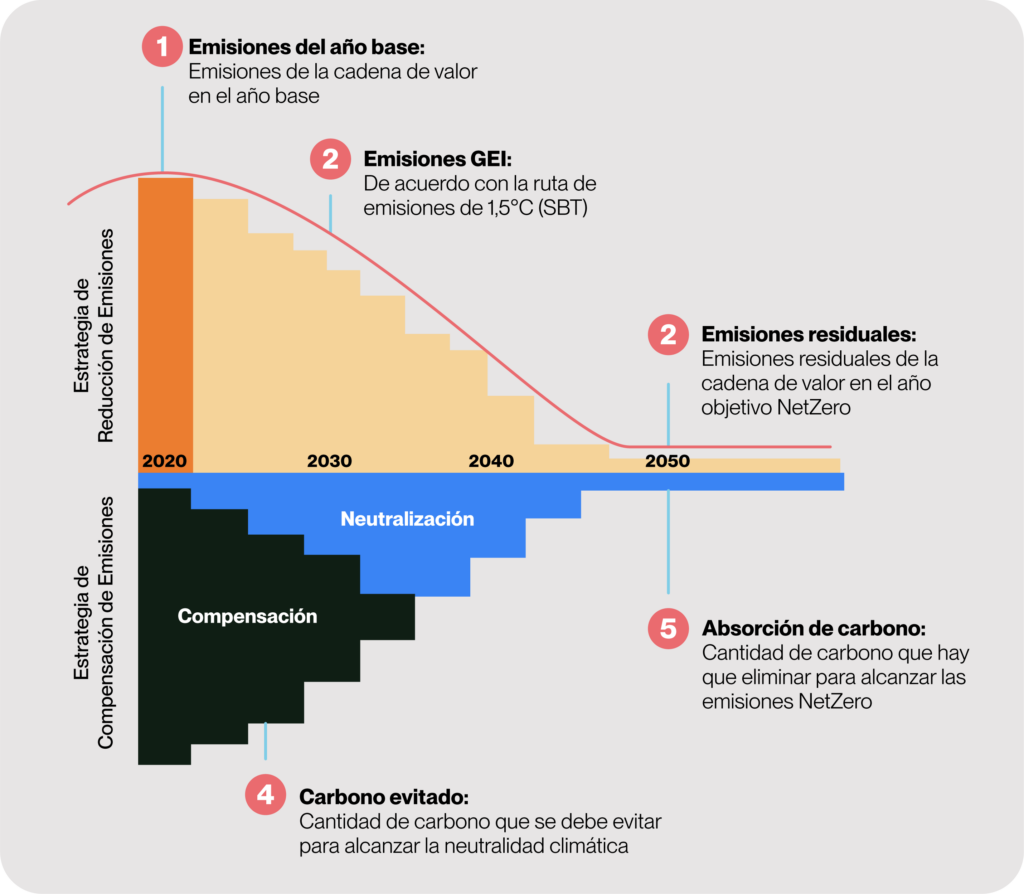 grafica articulo netzero