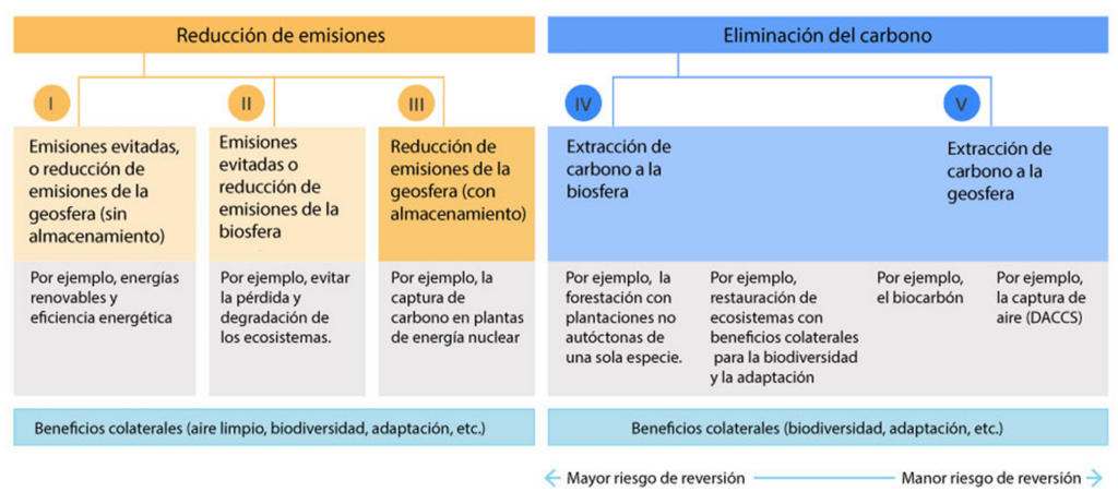 gráfico de tipos de proyectos de carbono