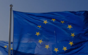 european union flag