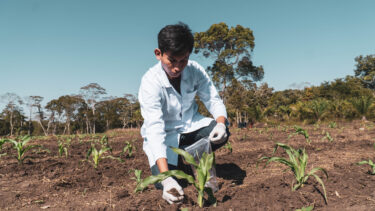 biochar carbon project