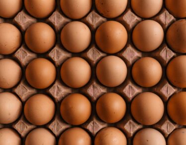 Eggs in cardboard sustainable packaging