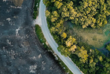 aerial view of a forest with a winding road cutting through it