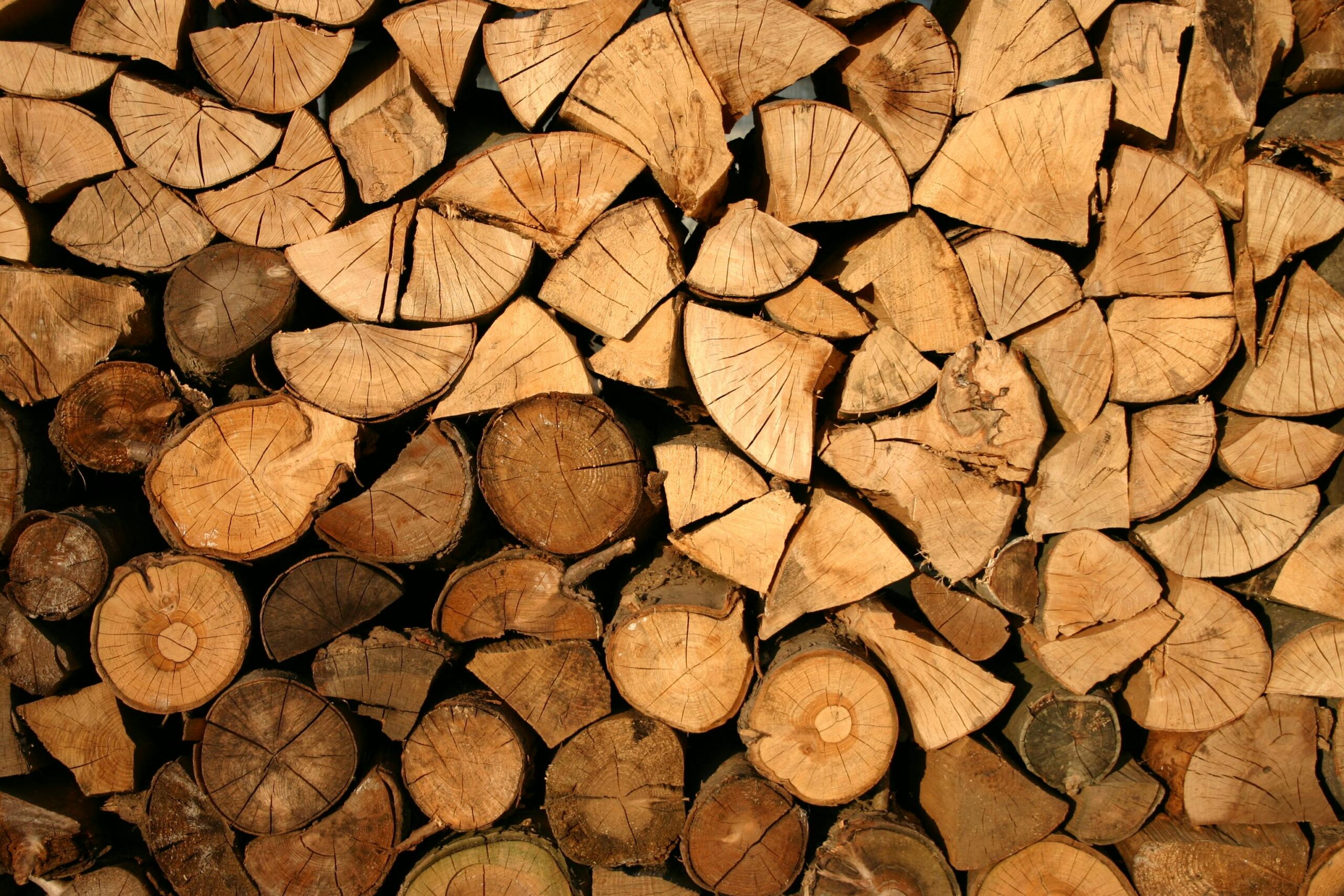 Bioenergy Supplier Engagement and Deforestation Risk Assessment