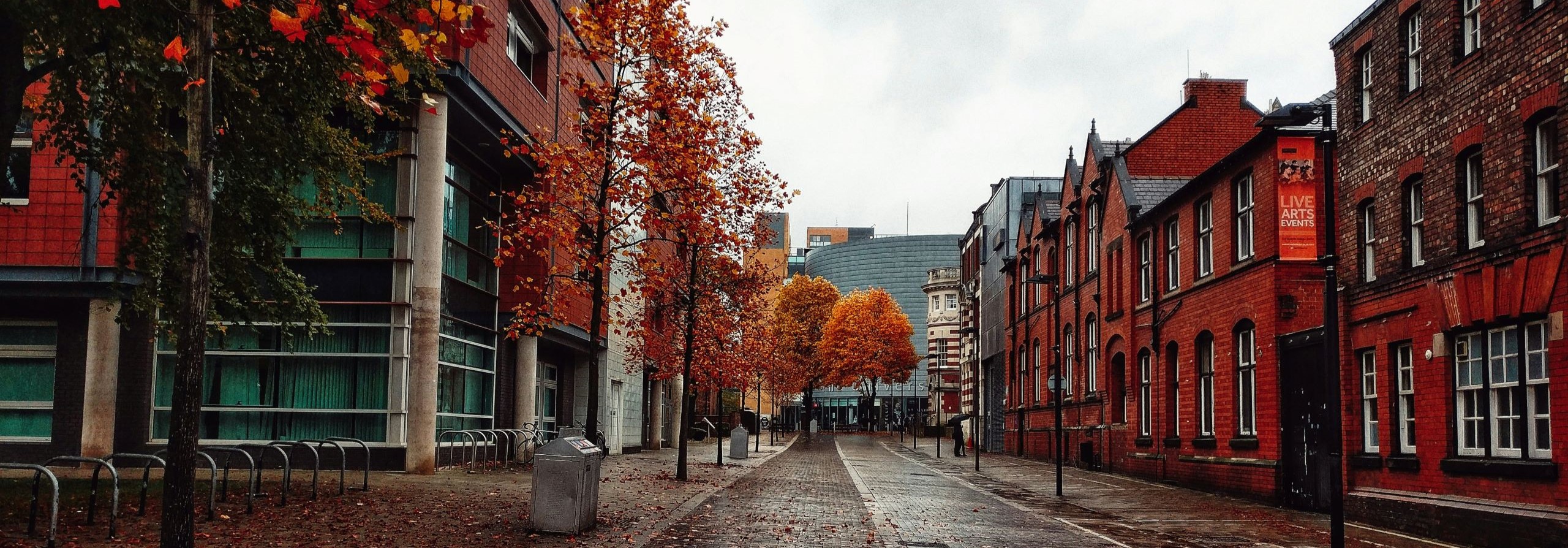 machester university trees autumn scaled 1