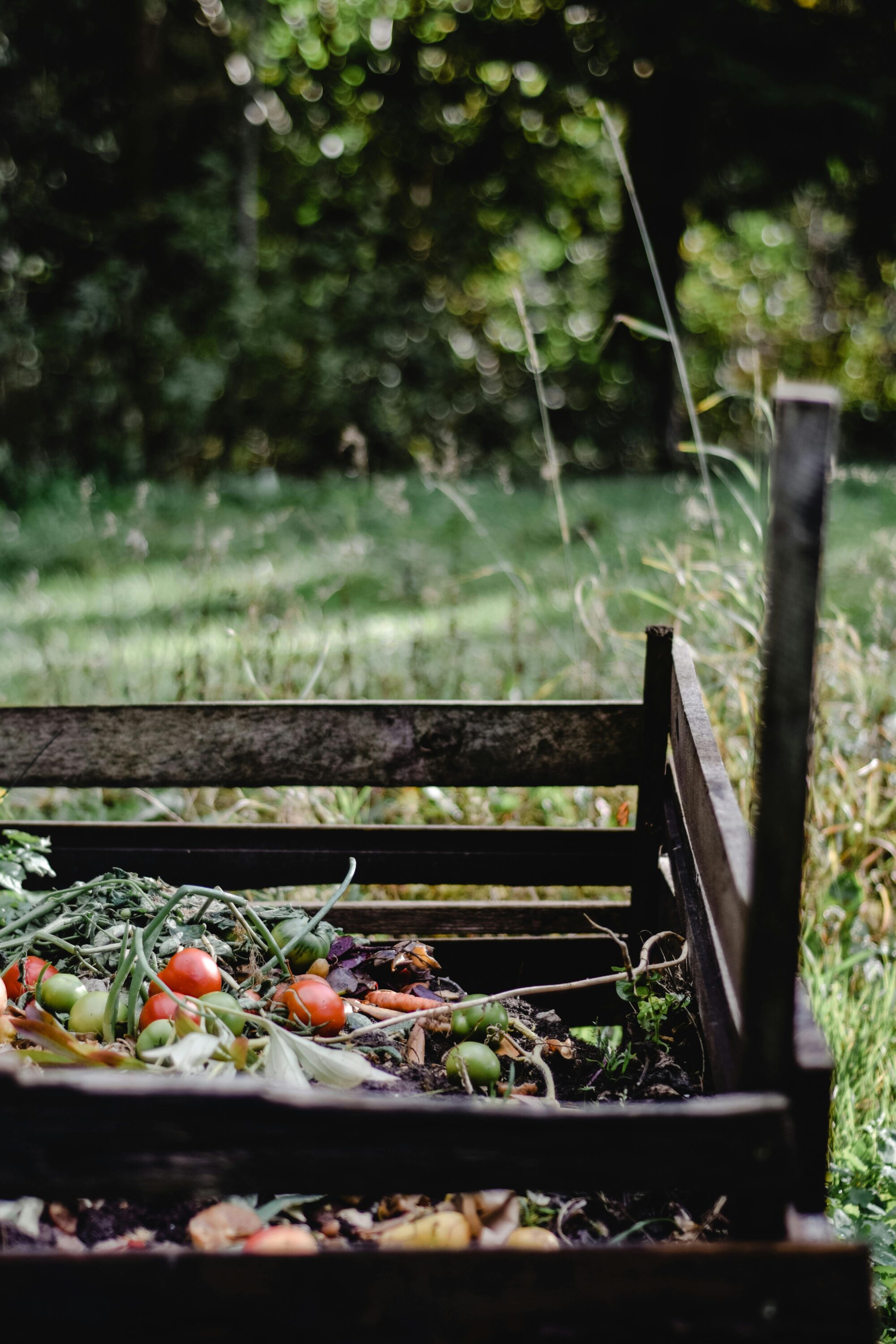 Food loss and waste