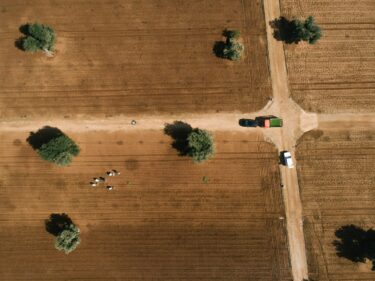 tractor and group of people farming in a field