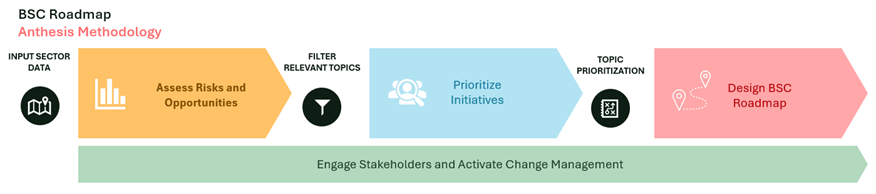 BSC Roadmap Methodology