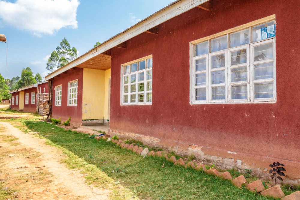 uchindile reforestation project