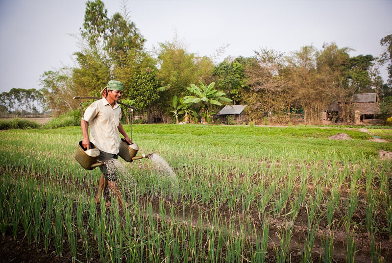 biogas project in cambodia