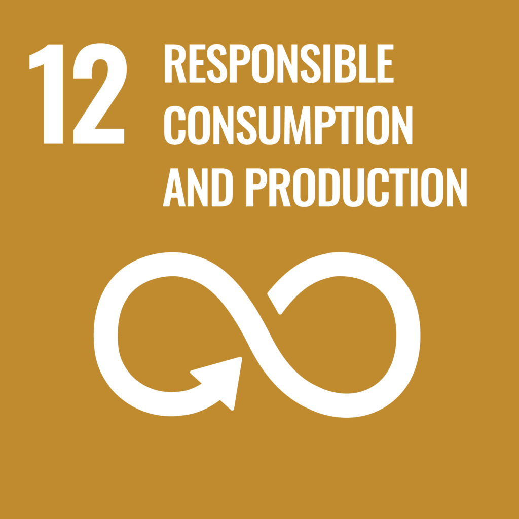 sdg 12 - responsible consumption and production